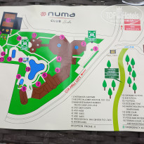 фото из отзыва ID 2737404