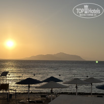 фото из отзыва ID 2737483