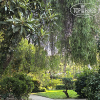 фото из отзыва ID 2737486