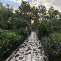 фото из отзыва ID 2737486