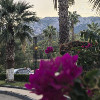 фото из отзыва ID 2737486