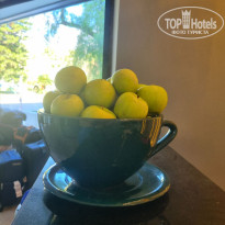 фото из отзыва ID 2737486