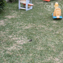 фото из отзыва ID 2737491