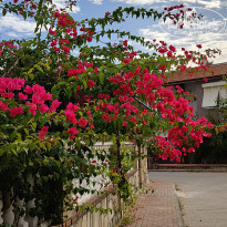 фото из отзыва ID 2737482