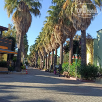 фото из отзыва ID 2737490