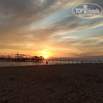 фото из отзыва ID 2737490