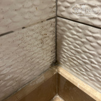 фото из отзыва ID 2737351