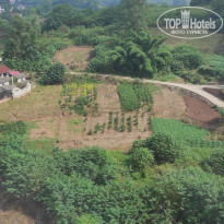 фото из отзыва ID 2737500