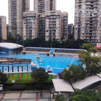 фото из отзыва ID 2737500