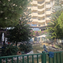 фото из отзыва ID 2737506