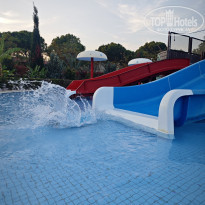 фото из отзыва ID 2737506