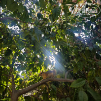 фото из отзыва ID 2737506