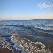 фото из отзыва ID 2737506