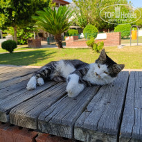 фото из отзыва ID 2737505