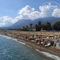 фото из отзыва ID 2737505