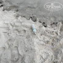 фото из отзыва ID 2737522