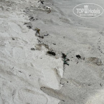 фото из отзыва ID 2737522