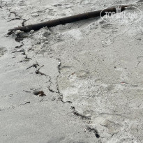 фото из отзыва ID 2737522