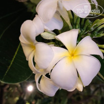 фото из отзыва ID 2737524