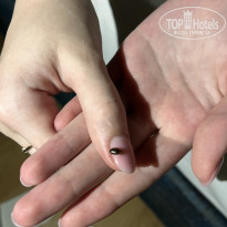 фото из отзыва ID 2737516