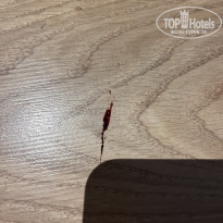 фото из отзыва ID 2737516