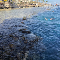 фото из отзыва ID 2737528