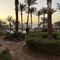 фото из отзыва ID 2737528