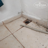 фото из отзыва ID 2737534