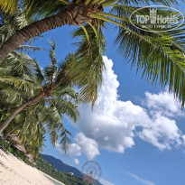 фото из отзыва ID 2737538