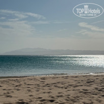 фото из отзыва ID 2737552