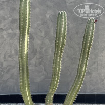 фото из отзыва ID 2737552