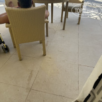 фото из отзыва ID 2737582