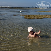 фото из отзыва ID 2737582