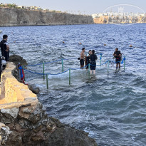 фото из отзыва ID 2737616