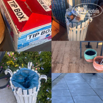 фото из отзыва ID 2737617