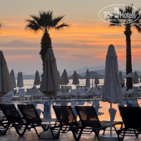 фото из отзыва ID 2737617