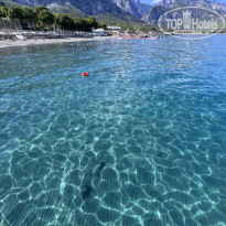 фото из отзыва ID 2737378