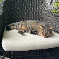 фото из отзыва ID 2737378