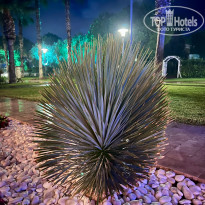 фото из отзыва ID 2737378