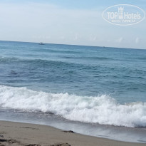 фото из отзыва ID 2737618