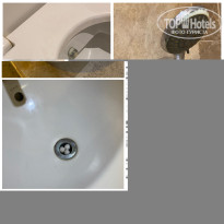 фото из отзыва ID 2737572