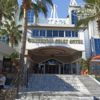 фото из отзыва ID 2737636