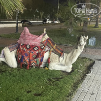 фото из отзыва ID 2737656