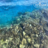 фото из отзыва ID 2737656