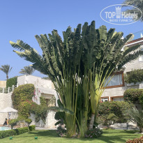 фото из отзыва ID 2737656