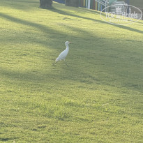 фото из отзыва ID 2737660