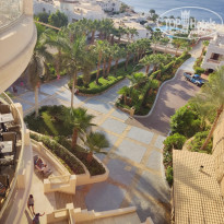 фото из отзыва ID 2737663