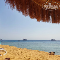 фото из отзыва ID 2737663