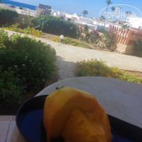 фото из отзыва ID 2737663