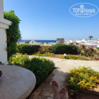 фото из отзыва ID 2737663